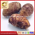 Factory Price Fresh Washed Taro with Best Taste